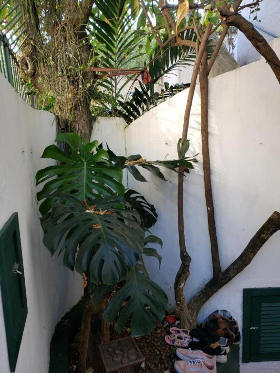 Cantinho Em Santa Teresa Com Bichinhos De Estimacao Hospedagem domiciliar Rio de Janeiro